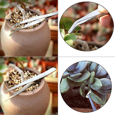 Succulents Potted Gardening Tool Set Succulent Seedlings Spray Bottle Watering Pot Soil Shovel Potted Trim Tube Shovel